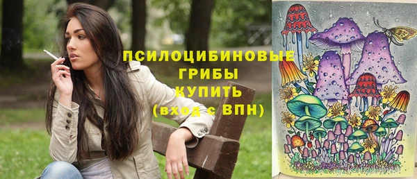 молекула духа Лиски