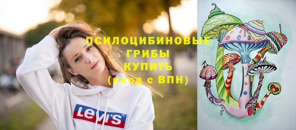 молекула духа Лиски