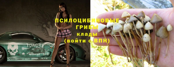 молекула духа Лиски