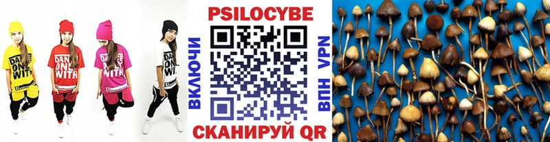 Псилоцибиновые грибы мицелий  Купить закладки  Мегион 